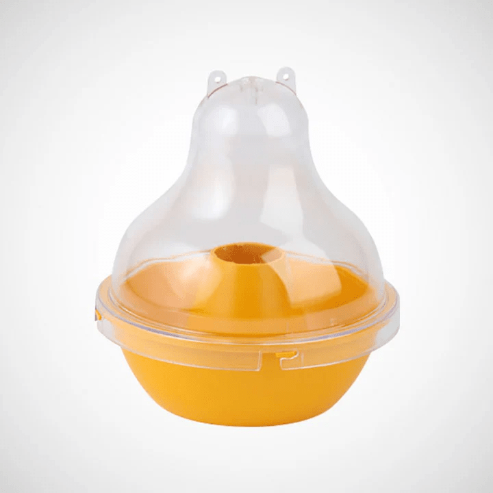 wasp trap and lure
